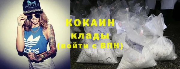 прущий лед Алзамай