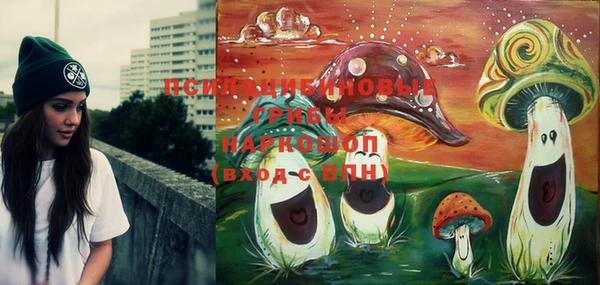 круглые Няндома