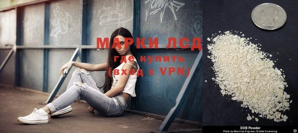 прущий лед Алзамай