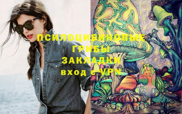 PSILOCYBIN Алексеевка