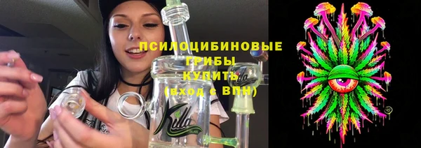 прущий лед Алзамай