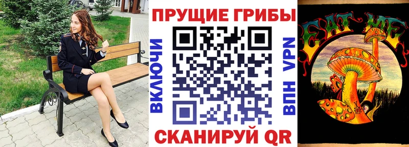 купить наркотики цена  Кукмор  гидра зеркало  Галлюциногенные грибы GOLDEN TEACHER 