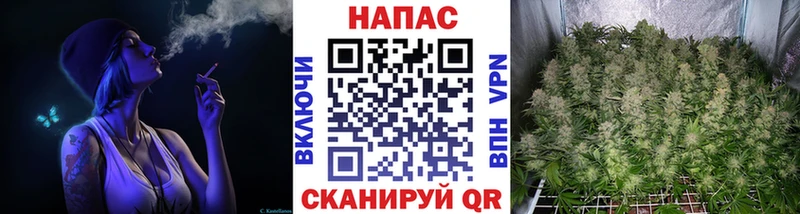 наркошоп Кукмор Бошки Шишки SATIVA & INDICA